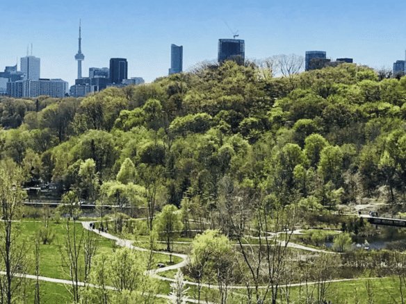 East York Toronto view