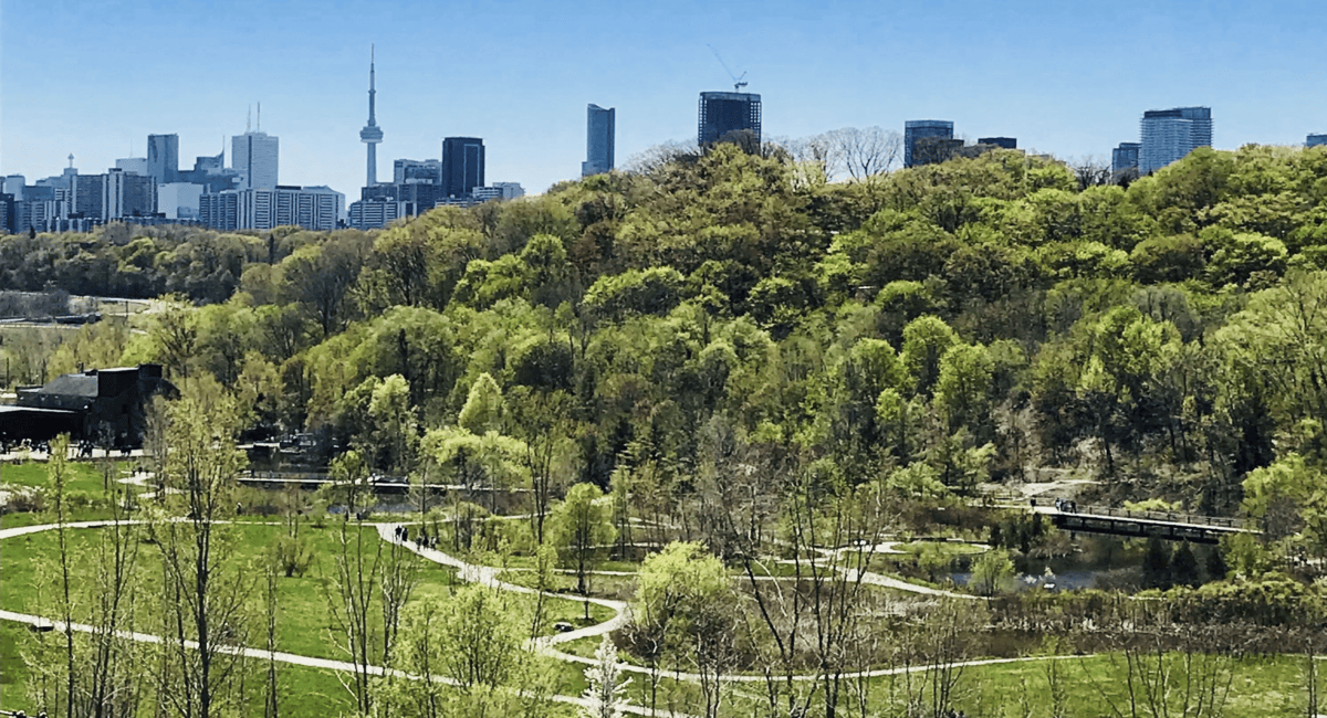 East York Toronto: Best Neighbourhood for the Anti-Condo Crowd 1 East York Toronto view
