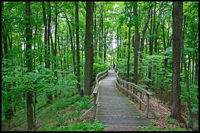 Leaside Toronto Sunnybrook Park trail