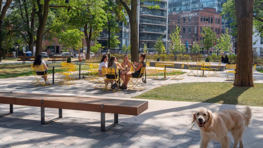 St. Andrews Dog Park Toronto view