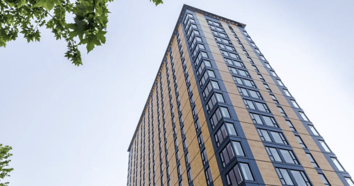 Toronto real estate trends 2025 mass timber building