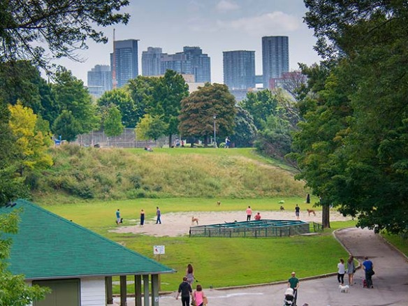 Trinity Bellwoods Toronto