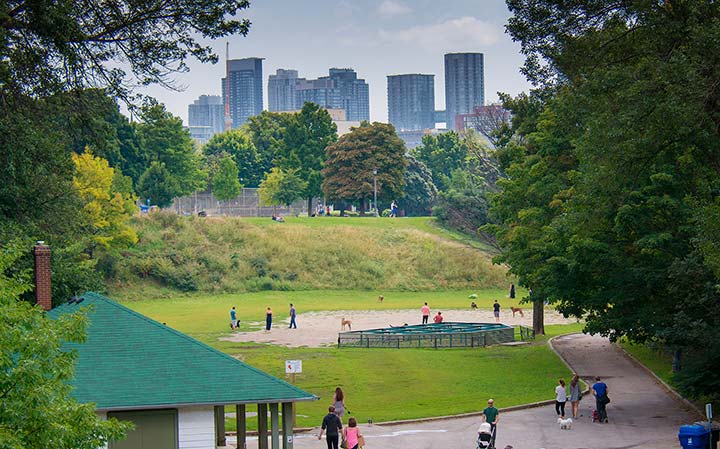 Trinity-Bellwoods-Park view of Toronto