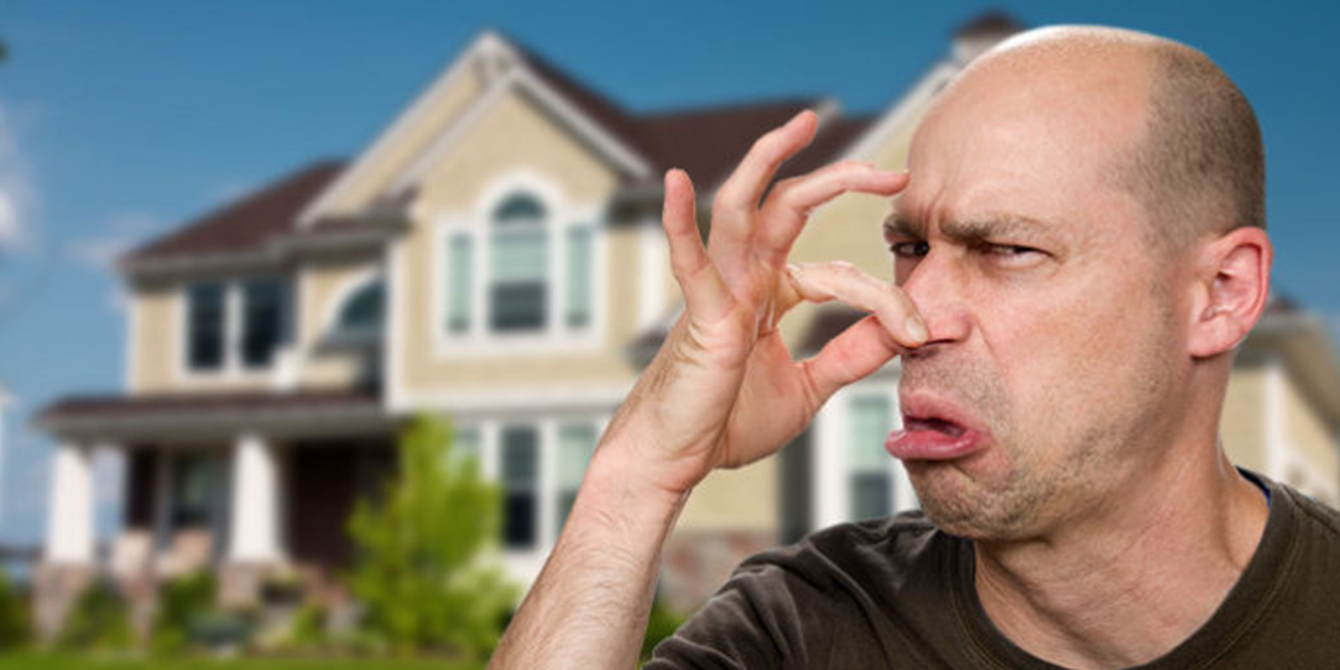 Stink Bids Are Smelling Up Toronto’s Real Estate Market 1 stink bids real estate