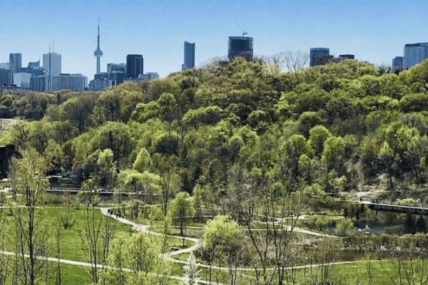 East York Toronto view