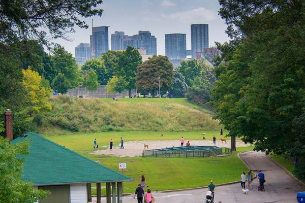 Trinity Bellwoods Toronto